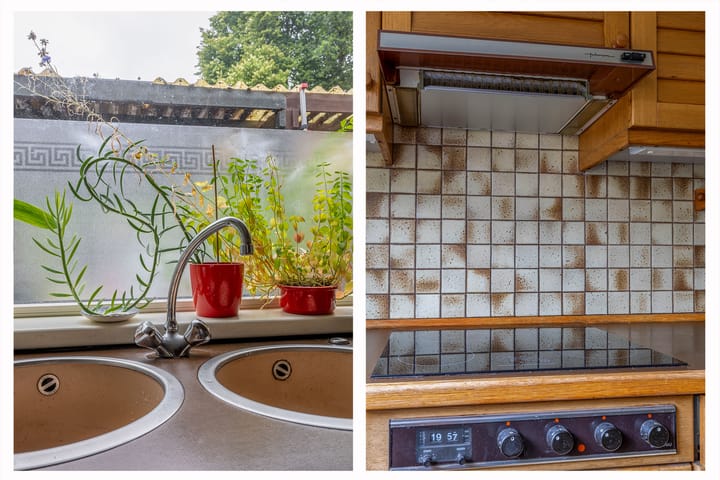 Foto 12 van Tarthorst 461