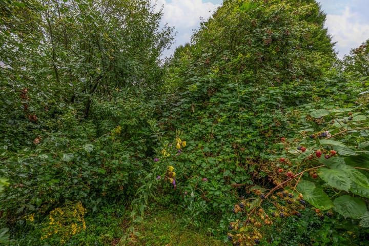 Foto 31 van Tarthorst 461