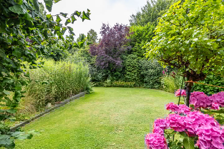 Foto 62 van Vlotterspad 1