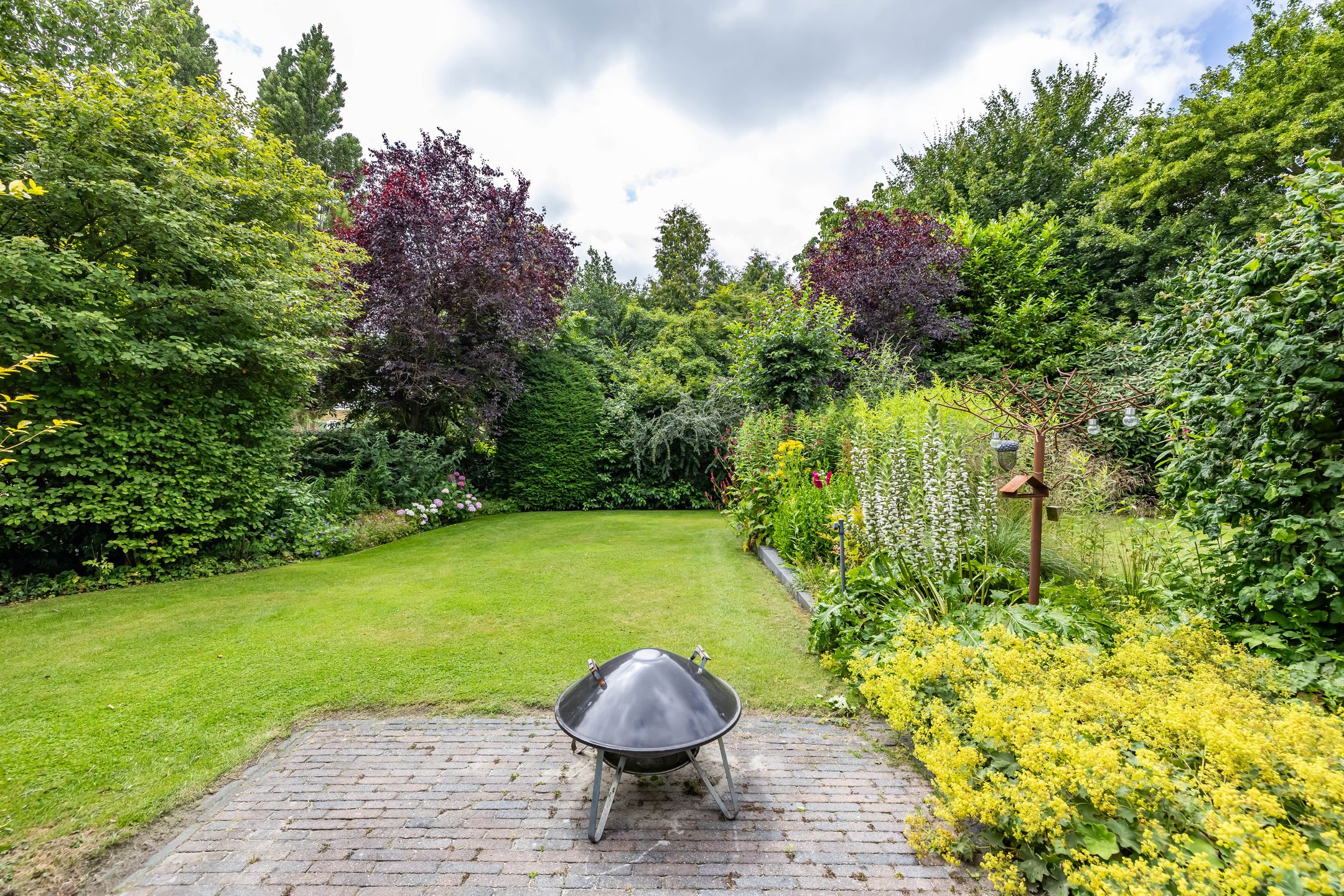 Foto 63 van Vlotterspad 1