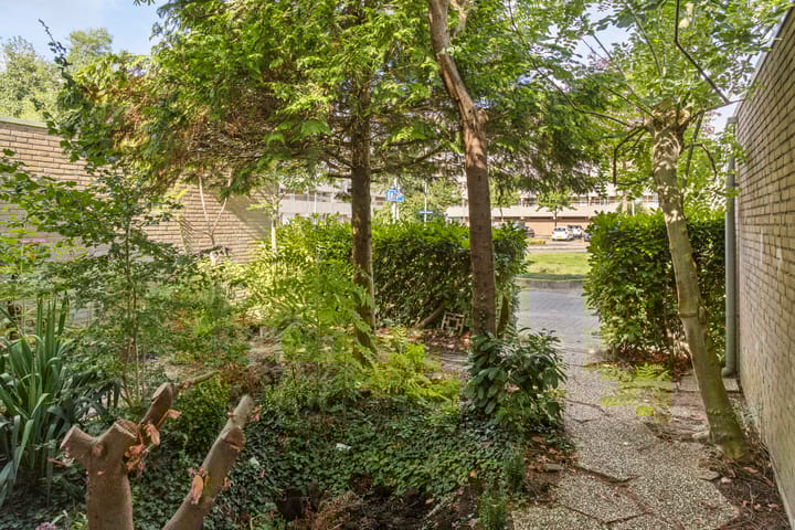 Foto 33 van Zijldiep 41