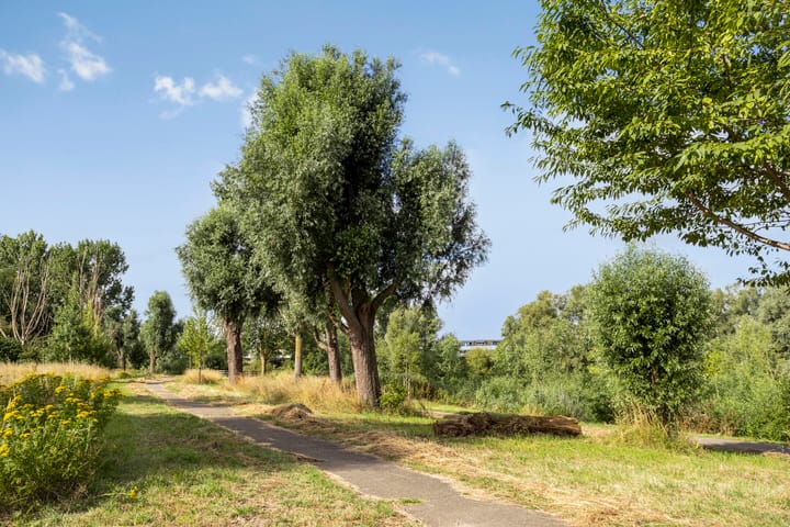 Foto 36 van Zijldiep 41