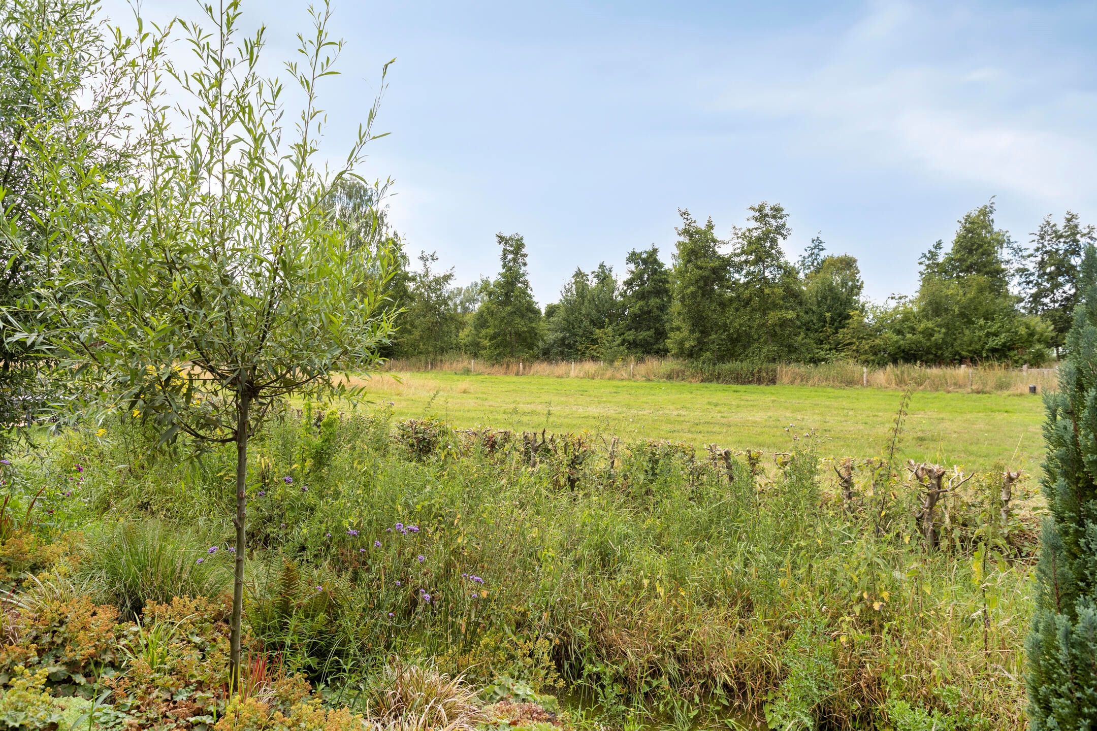 Photo 33 of Baselaarshoef 63