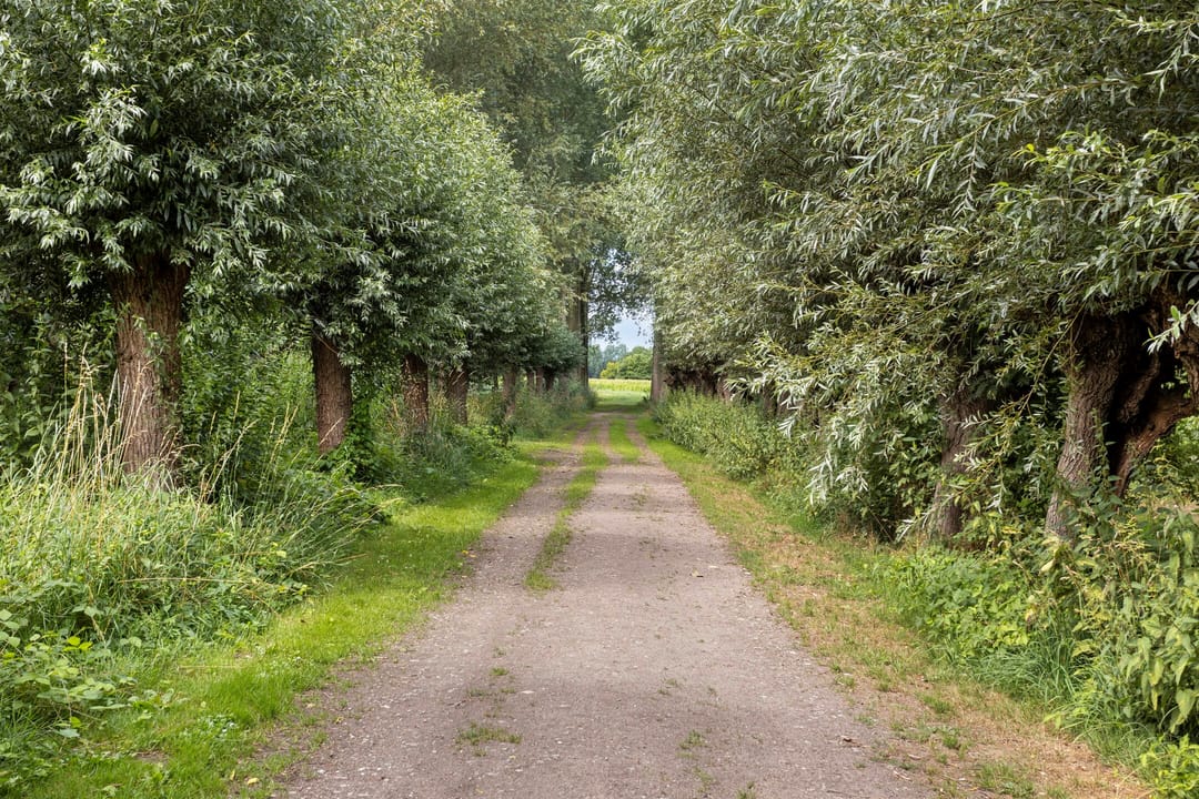 Photo 38 of Baselaarshoef 63