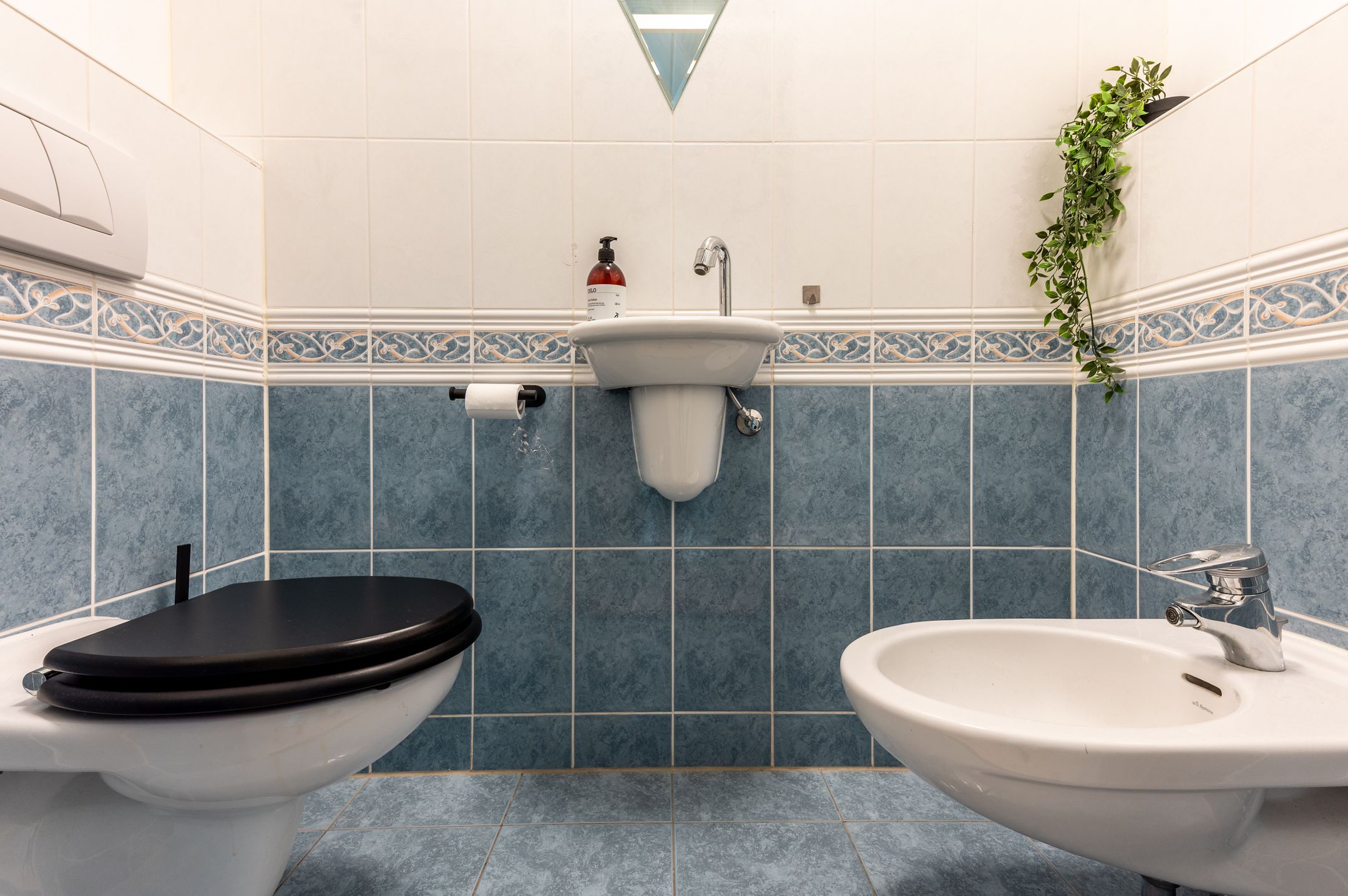 Foto 33 van Schieland 34