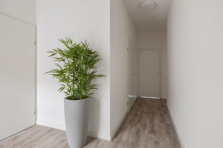 Foto 11 van Pieter Lastmanweg 5-F