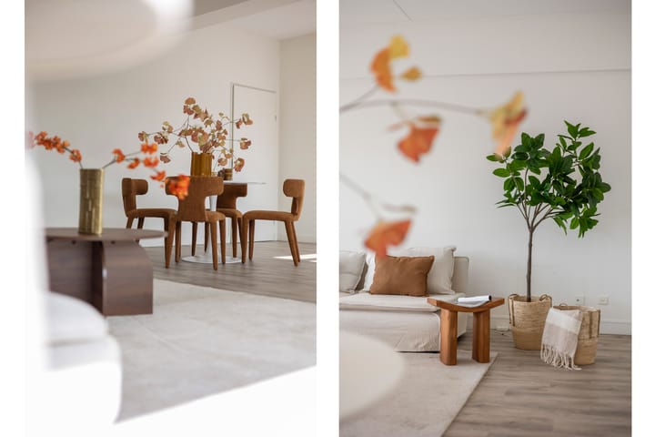 Foto 16 van Pieter Lastmanweg 5-F