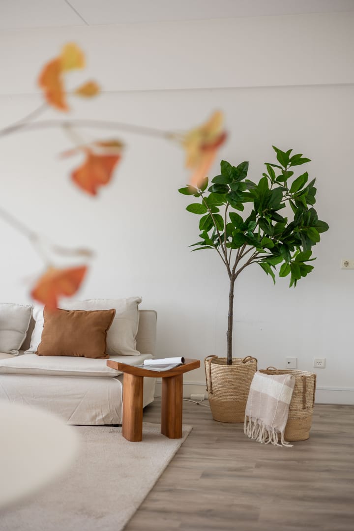 Foto 40 van Pieter Lastmanweg 5-F