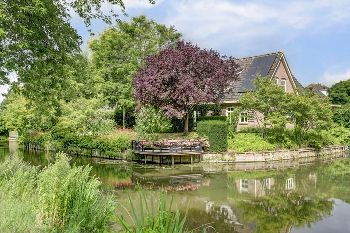 Foto 2 van Koriander 4