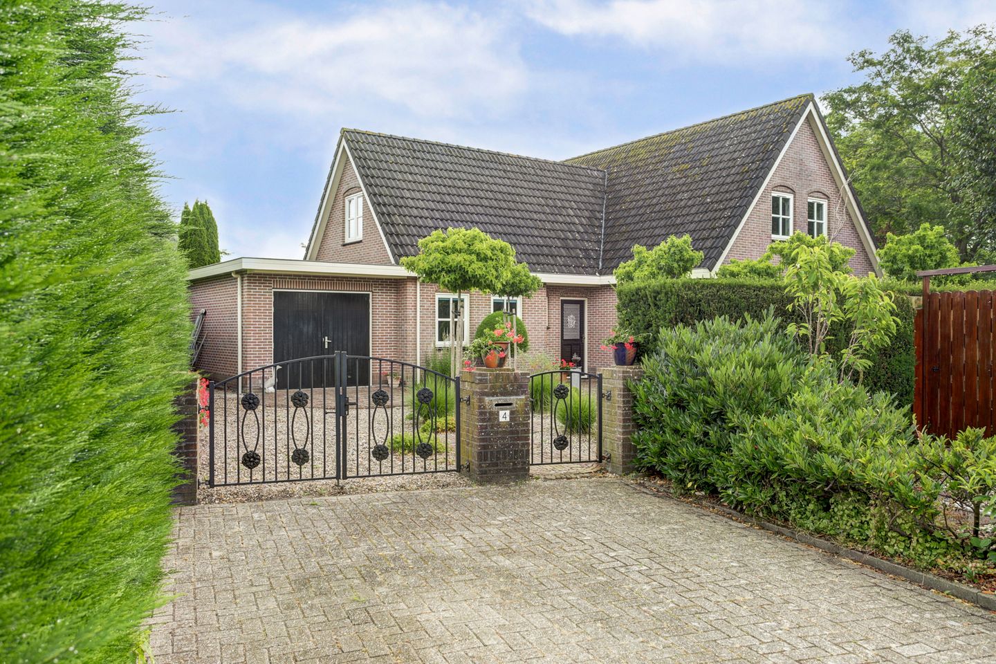 Foto 4 van Koriander 4