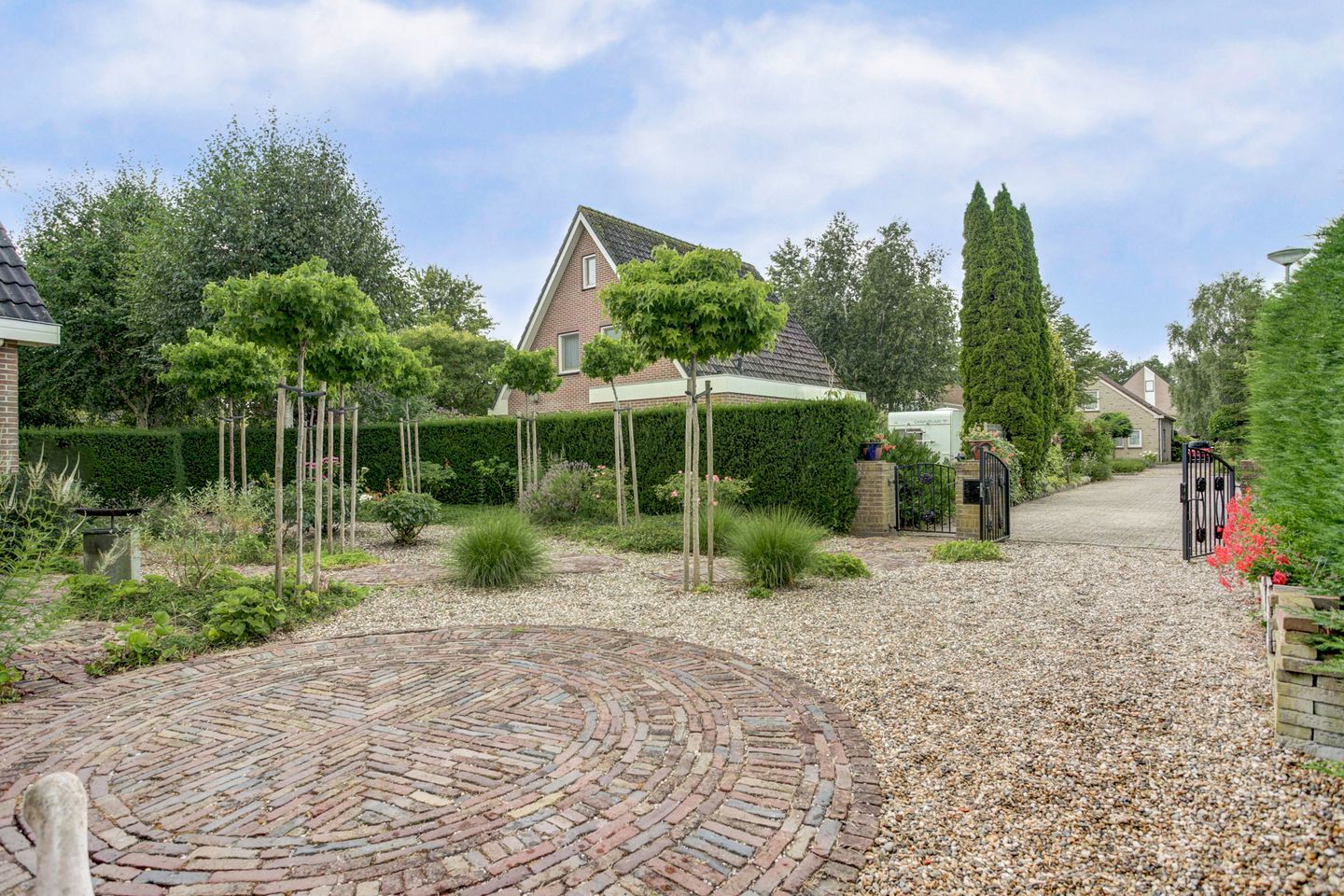 Foto 5 van Koriander 4