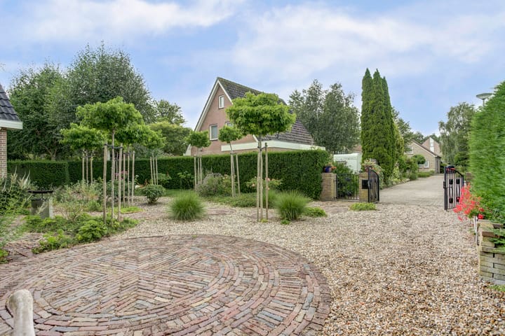 Foto 5 van Koriander 4