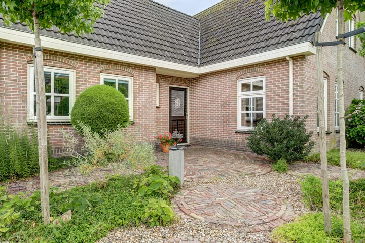 Photo 6 of Koriander 4