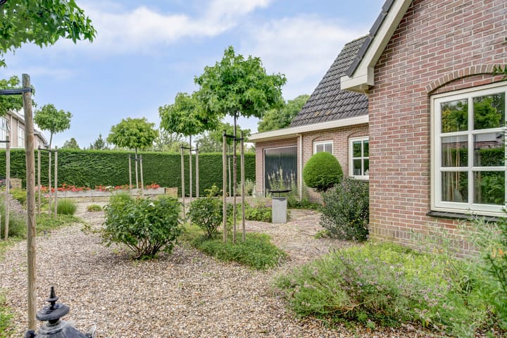 Photo 7 of Koriander 4