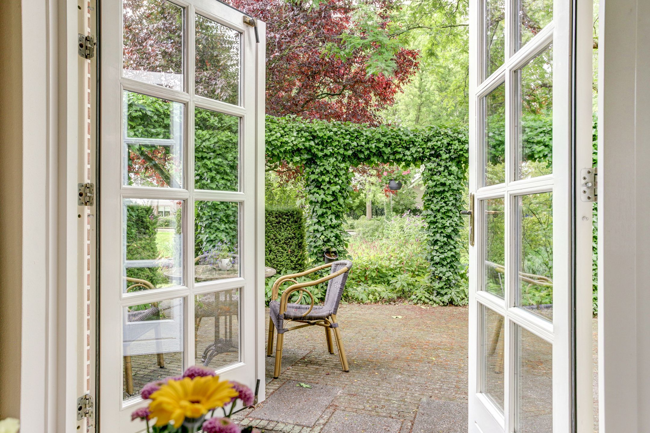 Foto 15 van Koriander 4