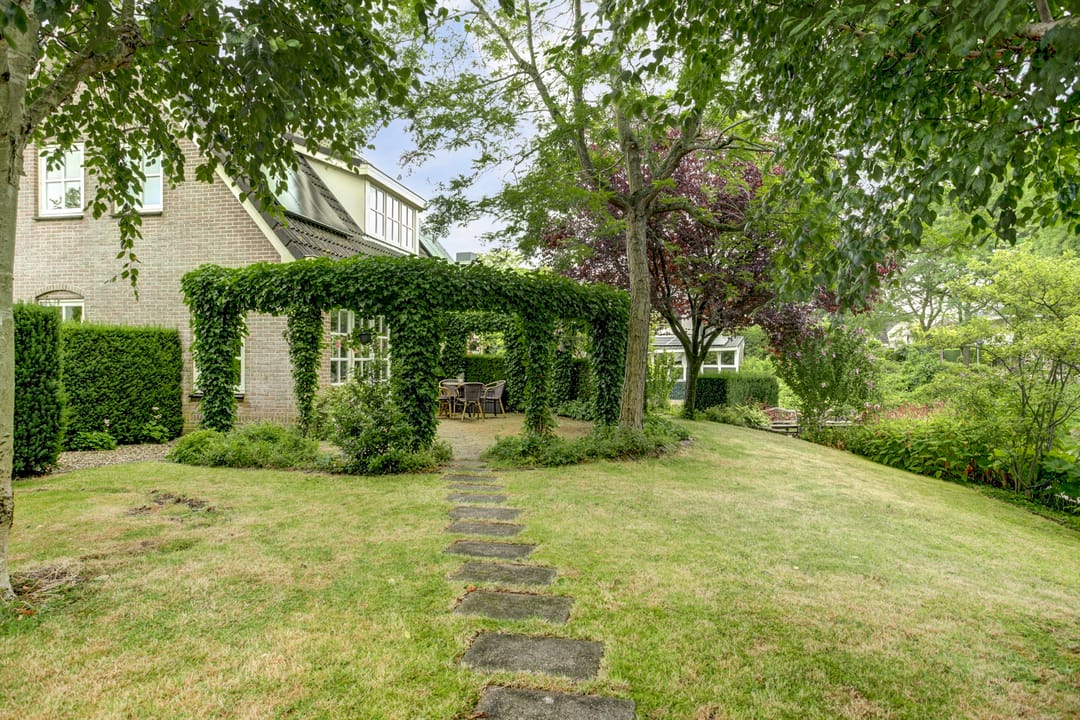 Foto 17 van Koriander 4