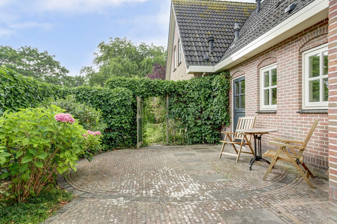 Foto 28 van Koriander 4