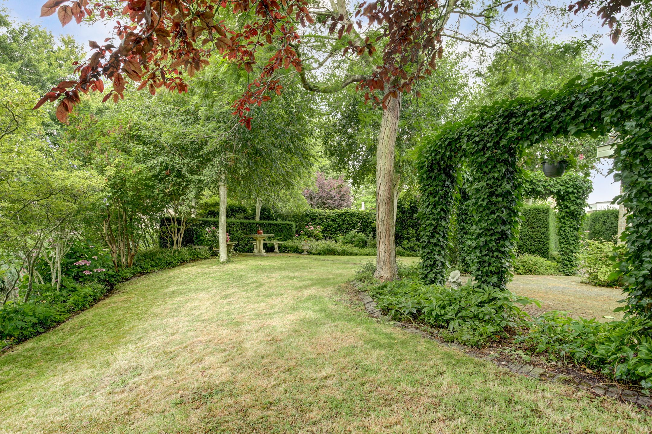 Foto 30 van Koriander 4