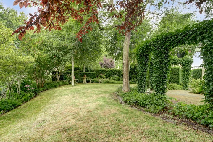 Photo 30 of Koriander 4