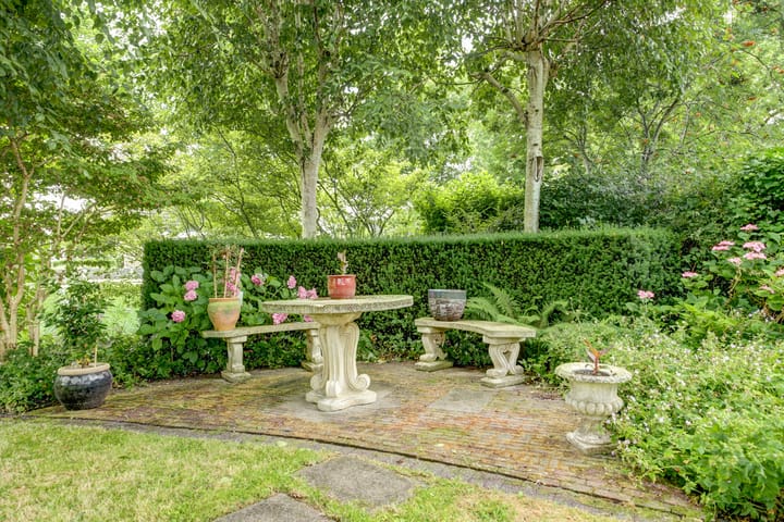 Photo 31 of Koriander 4