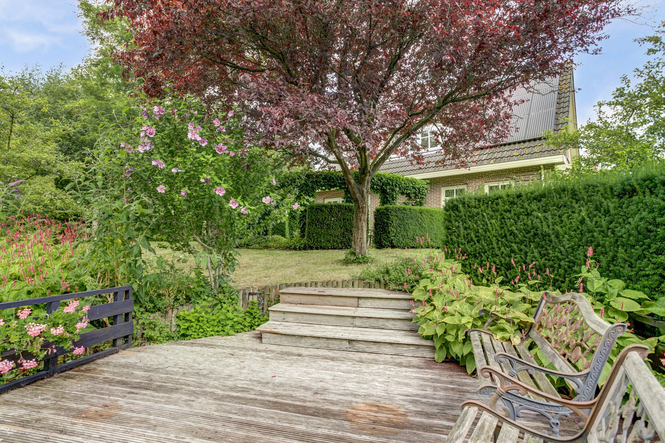 Foto 33 van Koriander 4