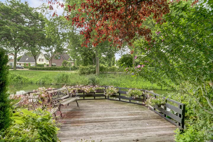 Photo 34 of Koriander 4