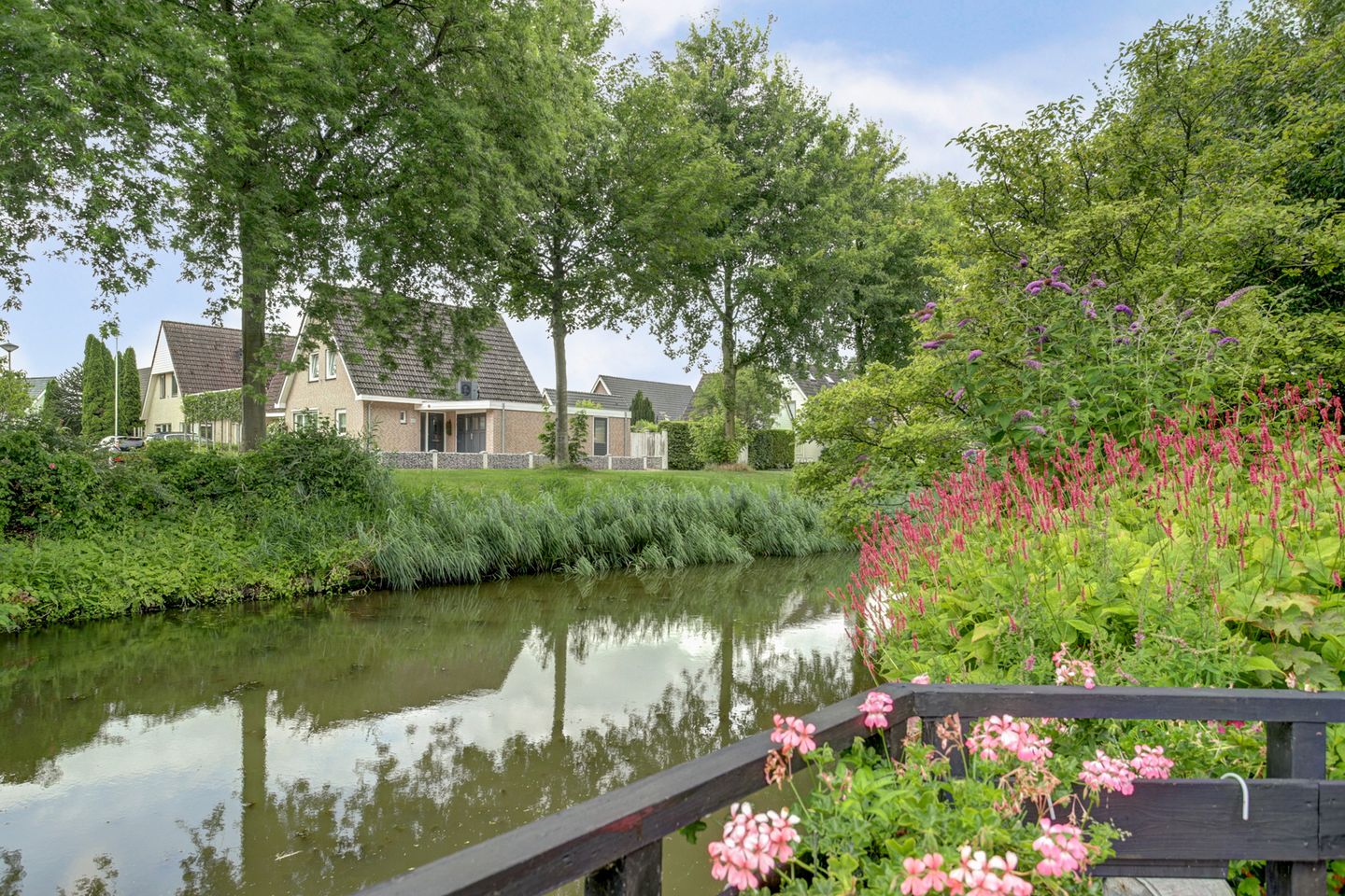 Foto 35 van Koriander 4