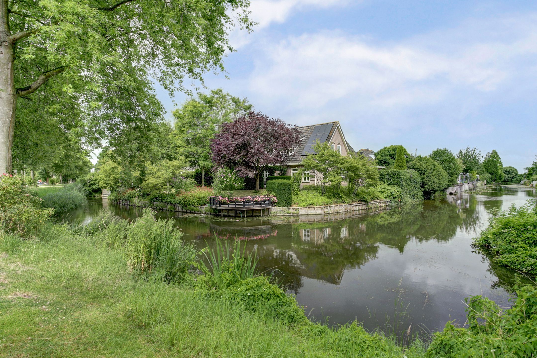 Foto 36 van Koriander 4