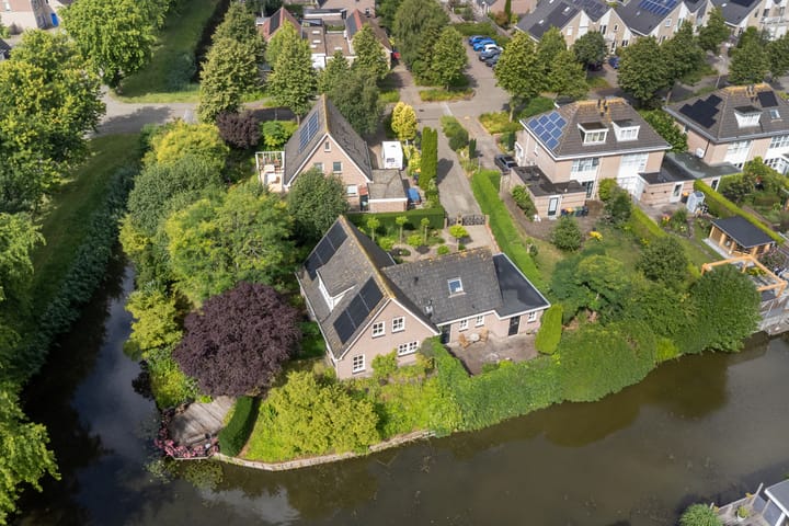 Photo 37 of Koriander 4