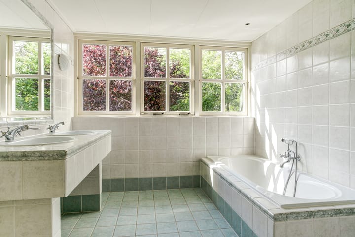 Photo 46 of Koriander 4