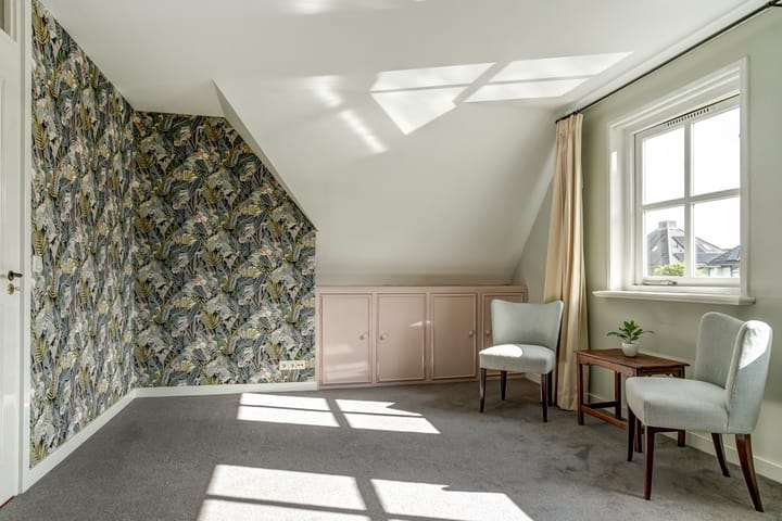 Photo 48 of Koriander 4