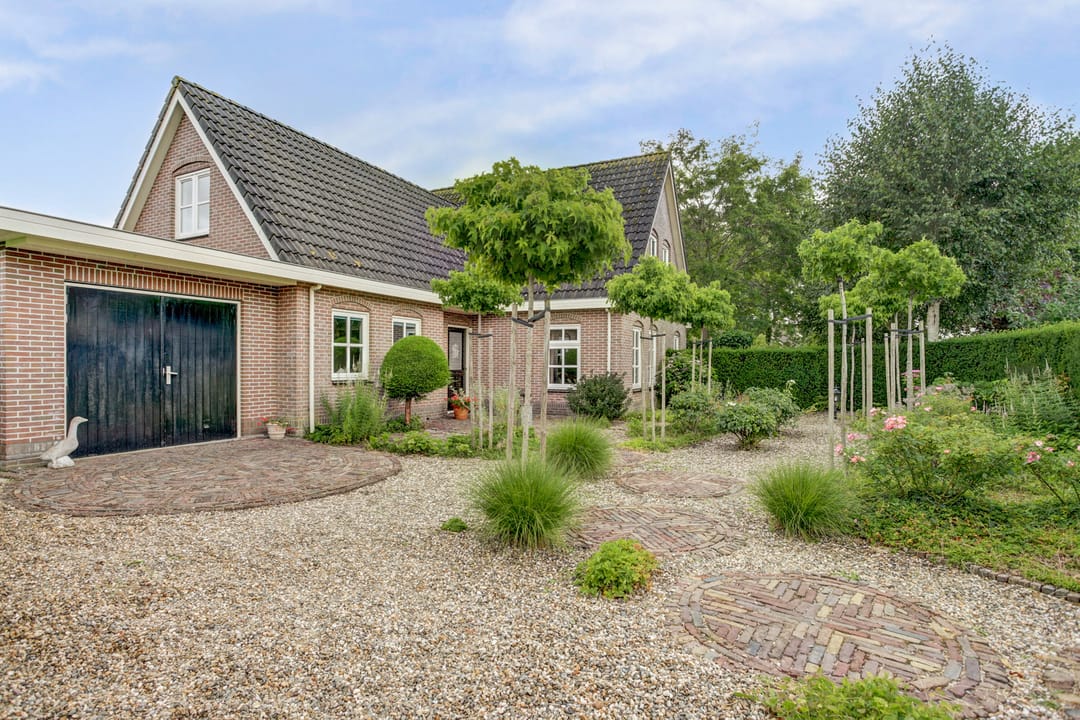 Foto 52 van Koriander 4