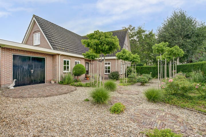 Photo 52 of Koriander 4