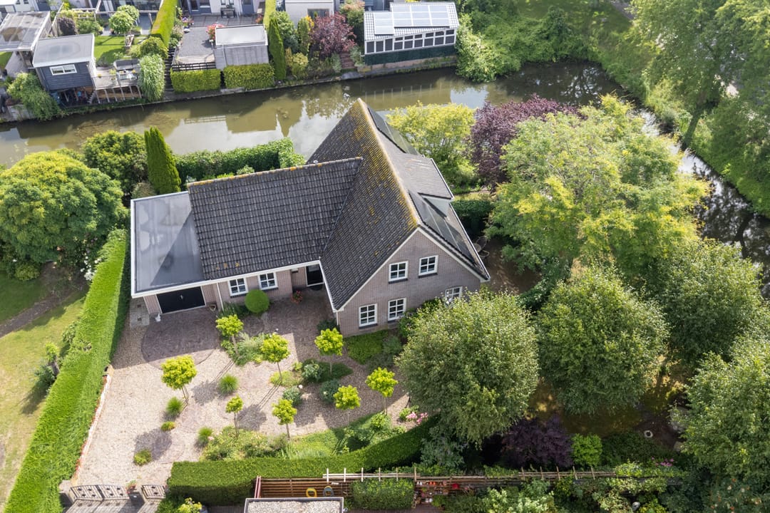 Foto 53 van Koriander 4