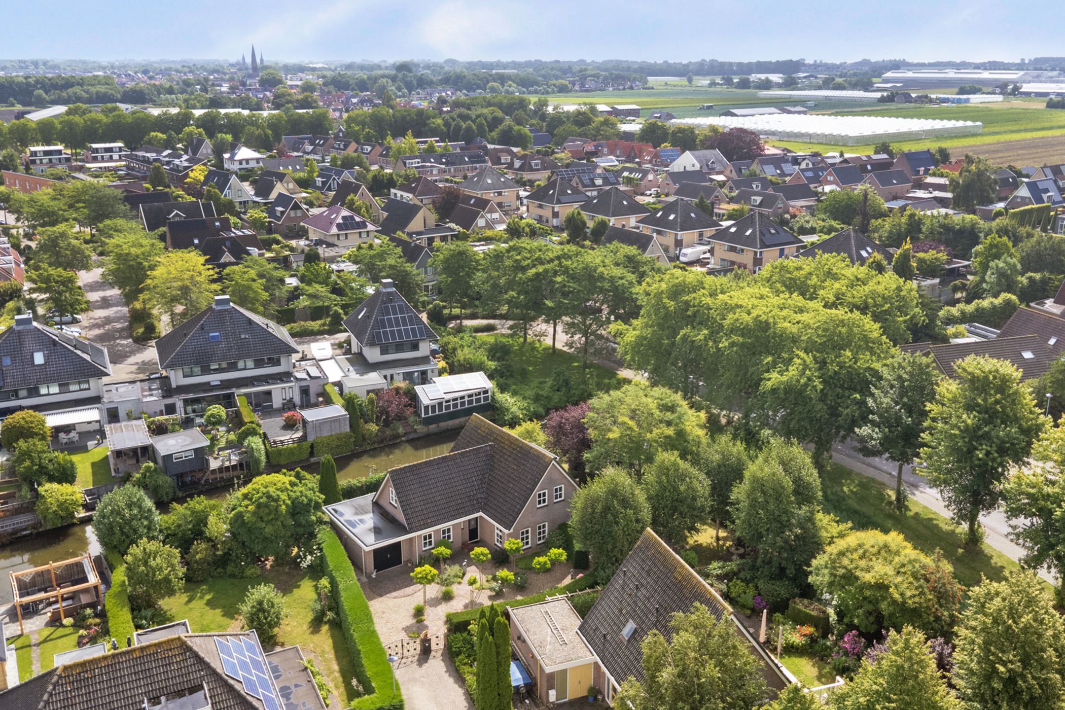 Foto 54 van Koriander 4