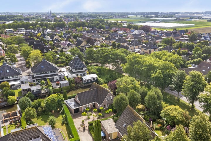 Photo 54 of Koriander 4