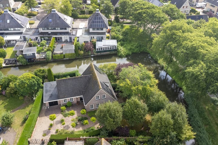 Photo 55 of Koriander 4