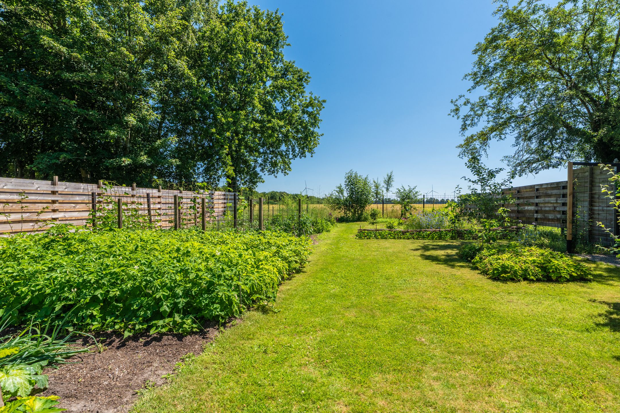 Foto 18 van Hoofdweg 196