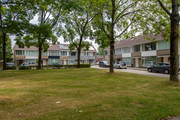 Foto 43 van Strausslaan 37