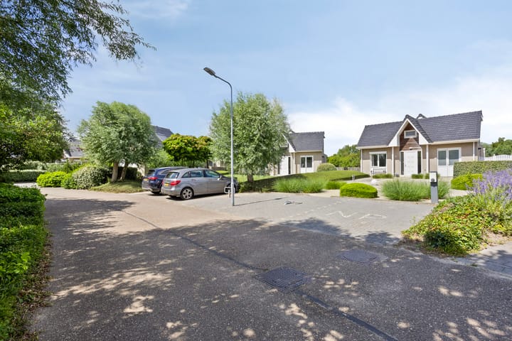 Photo 4 of Zilvermeeuw 34