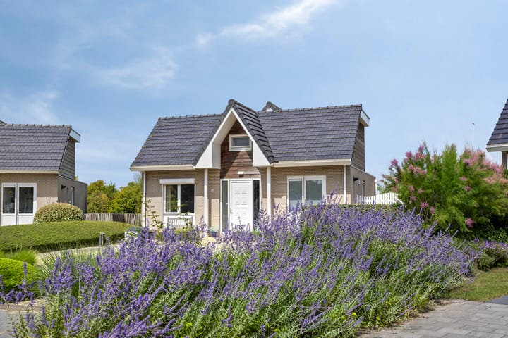 Foto 9 van Zilvermeeuw 34