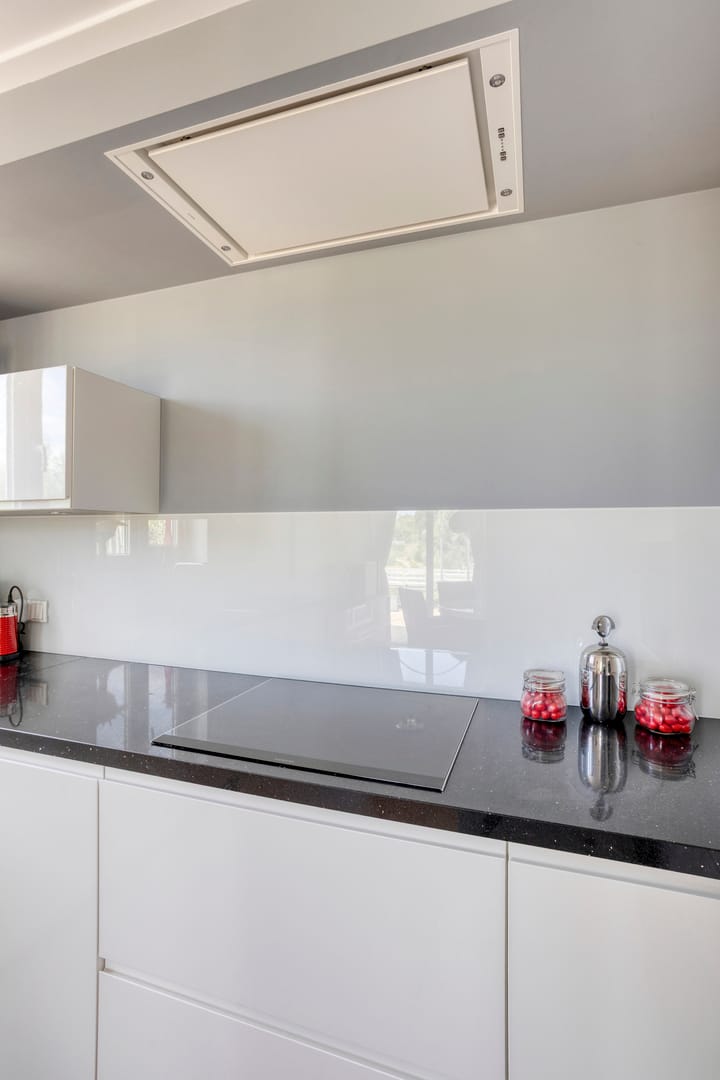 Foto 30 van Zilvermeeuw 34