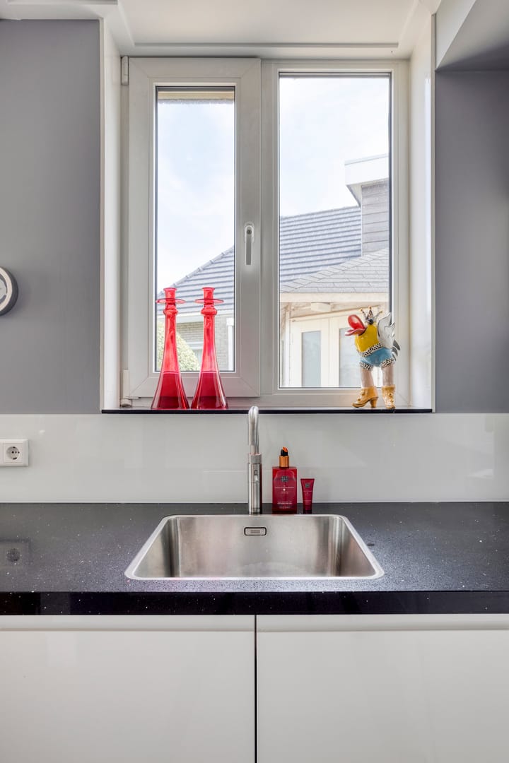 Foto 31 van Zilvermeeuw 34