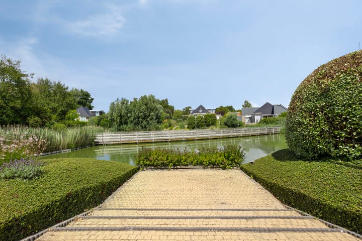 Foto 37 van Zilvermeeuw 34