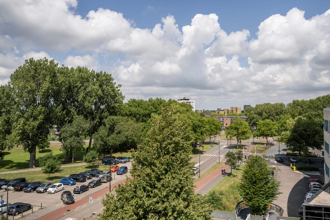 Foto 16 van Schiedamseweg 252-C