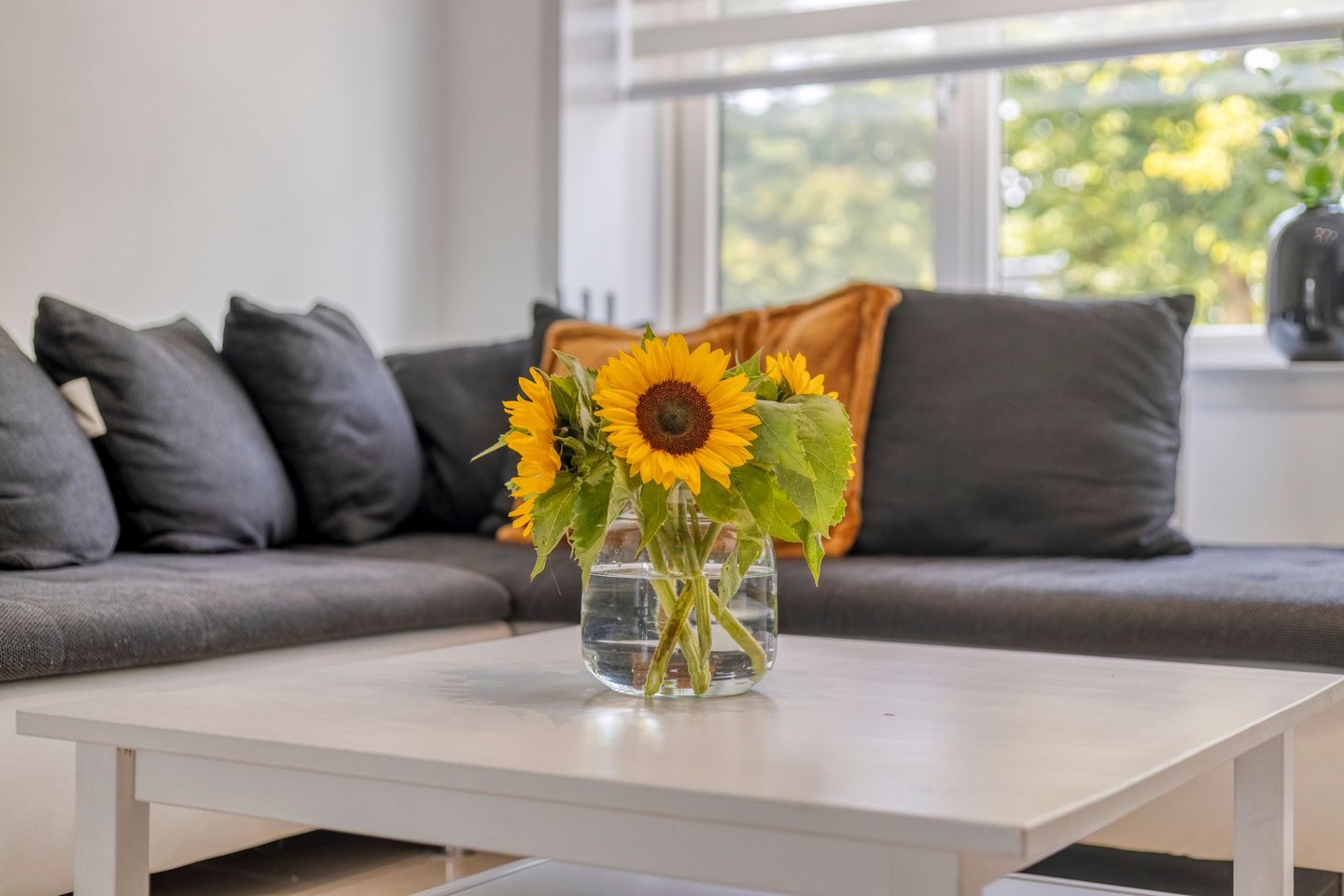 Foto 5 van Leonard Springerlaan 172