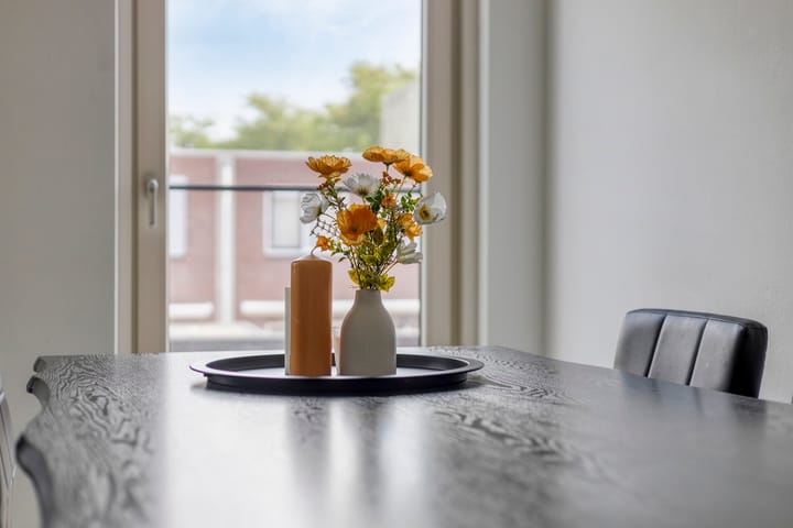 Foto 11 van Leonard Springerlaan 172