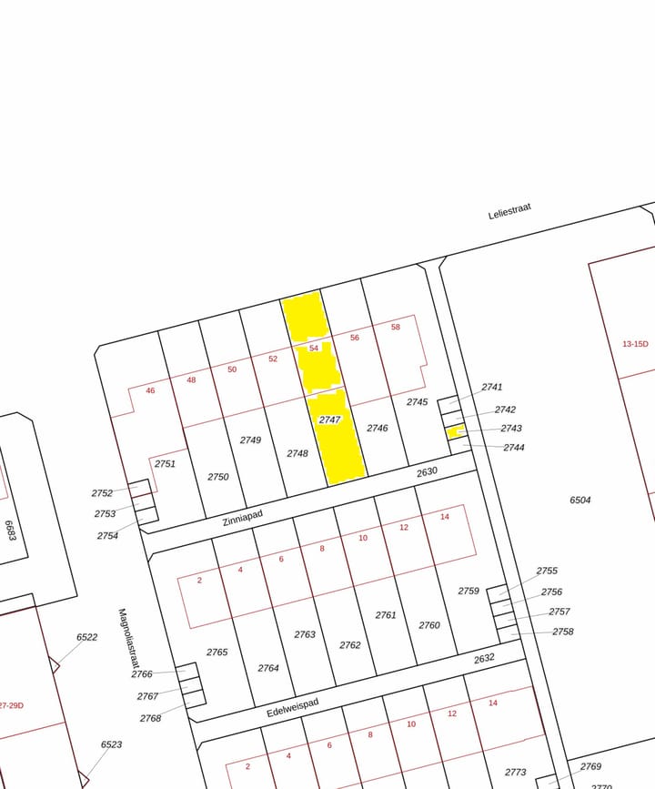 Foto 48 van Leliestraat 54