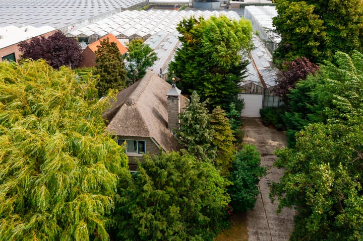 Foto 2 van Nollaantje 55