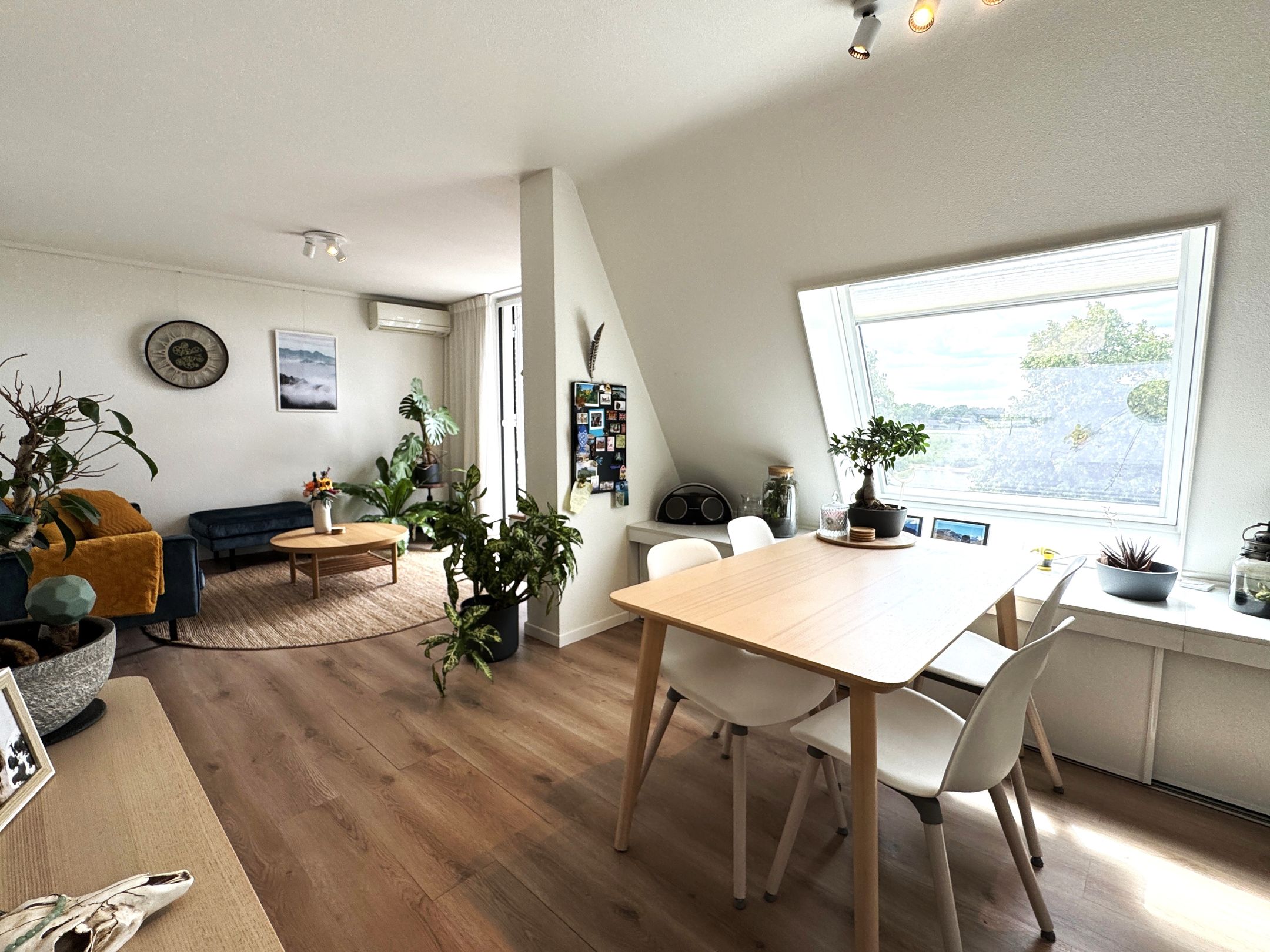 Foto 12 van Dokter Aletta Jacobsstraat 43